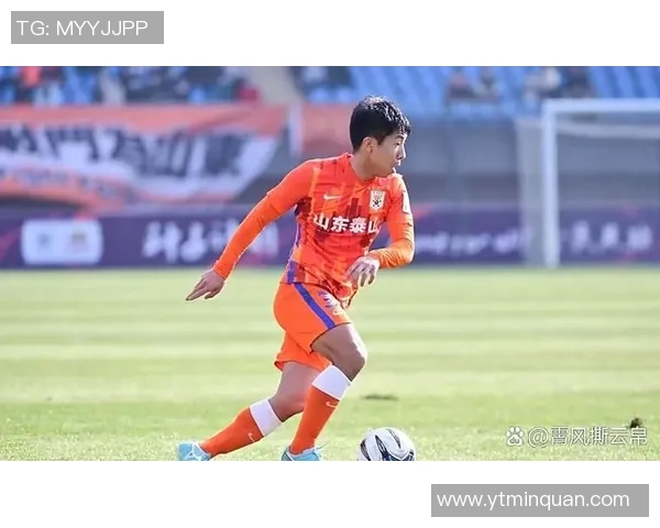 徐江足球记者的家乡背景揭秘及其在足球界的影响力分析