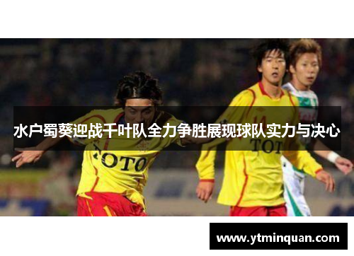 水户蜀葵迎战千叶队全力争胜展现球队实力与决心